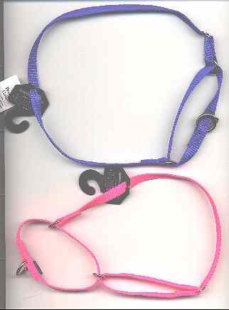 collars.jpg (28240 bytes)