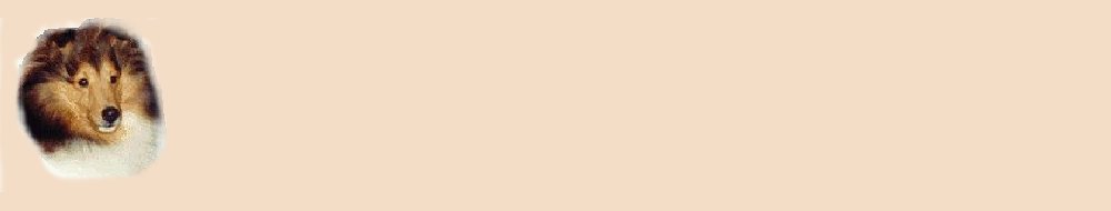 faceback.jpg (8944 bytes)